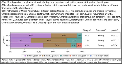 Figure 2. Results of statistical evaluation of the topic “What is mixed pain?”.