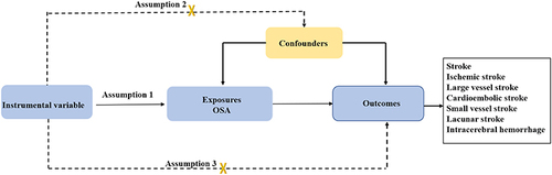 Figure 1 The overview and assumptions of the MR study design. Assumption 1: the instrumental variables that refer to genetic variation have a strong relationship with exposure (OSA). Assumption 2: the used IVs are not linked with potential confounders. Assumption 3: the genetic variants are related to the outcome only through selected exposure (OSA), not via alternative pathways.