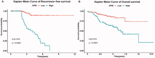 Figure 6. Kaplan–Meier curve for the RFS (a) and OS (b) of patients between low-risk and high-risk groups in the external validation cohort. RFS, recurrence-free survival; OS, overall survival.