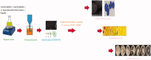 Figure 18. Schematic image for several selection of this study.