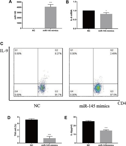 Figure 2 miR-145 negatively regulates Th9 cell polarization in vitro (n=3). CD4+ T cells were obtained and then cultured in RPMI 1640 media containing 10% FBS. MiR-145 mimics or negative control oligonucleotide were transfected into CD4+ T cells, followed by the addition of TGF-β (2 ng/mL) and IL-4 (10 ng/mL). (A, B) After 72 h, relative expressions of miR-145 and IL-9 mRNA were measured by RT-PCR. (C, D) Th9 cells were analyzed by flow cytometry. (E) ELISA was used to detect IL-9 levels in the culture supernatant.Notes: The data represent the mean ± standard deviation (SD) from three independent experiments. *P<0.05; ***P<0.01.Abbreviations: RPMI, Roswell Park Memorial Institute; FBS, fetal bovine serum; NC, negative control; TGF-β, transforming growth factor-β; IL, interleukin; RT-PCR, reverse transcription-polymerase chain reaction; ELISA, enzyme linked immunosorbent assay.