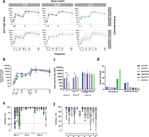 Figure 2. Antibody response in subjects vaccinated with the different SARS-CoV-2 vaccine formulations. (a) longitudinal analysis of spike-specific IgG titers in plasma samples collected at baseline (pre v1), 7 days post first dose (7v1), 7, 60 and 130–180 days post second dose (7v2, 60v2 and 180v2), and 7, 30 and 180 days post the third dose (7v3, 30v3 and 180 v3), in each subjects, in the different 6 groups. The median value of the group is reported as colored line. (b) overlay of the median value of the longitudinal analysis of spike-specific IgG titers in the 6 groups. (c) anti-spike IgG titers assessed after the first , second and third vaccine doses (P, BNT162b2; M, mRNA-1273; A, ChAdOx1). Kruskal-Wallis test, followed by Dunn’s post test for multiple comparisons, was used for assessing statistical differences between groups (*p < 0.05, **p < 0.01, ***p < 0.001). (d) factor increase calculated as the ratio between antibody levels at 7 days after the third dose versus 7 days after the second dose (d7v3/d7v2) or measured at 180 days after third versus 180 days after second dose (d180v3/d180v2). (e) sVNT performed at 180v2 (in groups PP, MM and AA), 30v3 and 180v3 against the wild type RBD performed in the 6 groups (PPP, PPM, MMP, MMM, AAP, AAM) to assess the ACE2/RBD binding inhibition. The threshold (dotted red line) was placed at 30% inhibition percentage to discriminate between positive and negative samples. (f) sVNT performed at 180v3 against the delta (D) and omicron BA.2 RBD. (P/P/P, three doses of Pfizer; P/P/M first two doses with Pfizer and booster with Moderna; M/M/P, first two doses with Moderna and booster with Pfizer; M/M/M, three doses of Moderna; A/A/P, first two doses with AstraZeneca and booster with Pfizer; A/A/M first two doses with AstraZeneca and booster with Moderna), (P, Pfizer BNT162b2; M, Moderna mRNA-1273; A, AstraZeneca ChAdOx1).