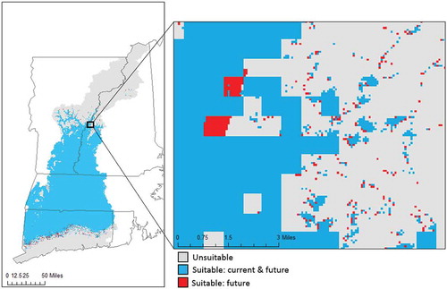 Figure 6. Modelled suitability map for glossy buckthorn with the observed current (2006) land use/cover map and the predicted future (2026) land use/cover map.
