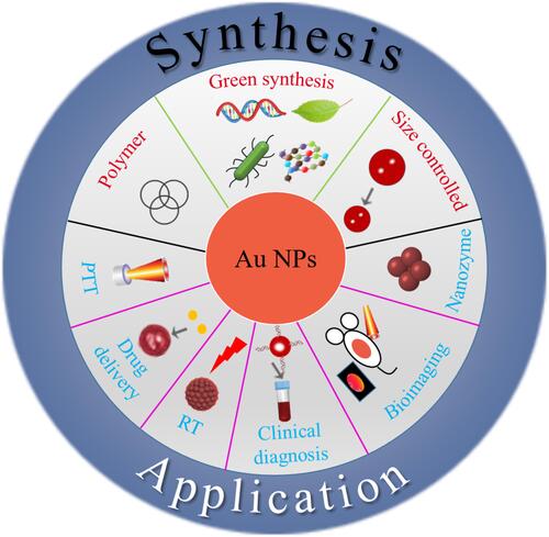 Figure 1 An overview of high stability Au NPs: From design to application in nanomedicine.