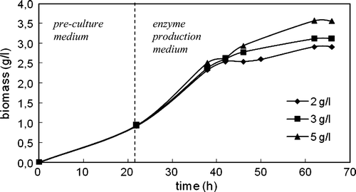 Figure 4.  Variation in biomass with time in the cultivation of C. rugosa (two-step inoculation; carbon source: triolein; T = 30°C; N = 150 rpm).