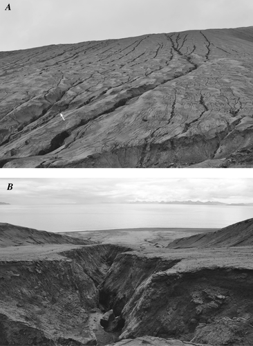 Figure 3 Typical gullies on the flanks of Kasatochi volcano. (A) Southeast flank of Kasatochi showing typical gully pattern. Arrow locates person for scale. (B) View looking down the axis of a v-shaped gully on the east flank of the volcano. Maximum gully depth here is about 3 m. Photographs by C. Waythomas, 12 June 2009.