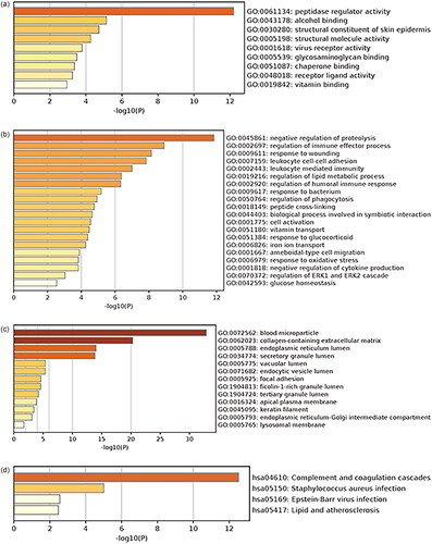Figure 4. GO and KEGG enrichment analysis. Bar graph of enriched terms across input gene lists (colored according to p-values). (a) Enrichment analysis results of GO molecular functions. (b) Enrichment analysis results of GO biological process. (c) Enrichment analysis results of GO cellular components. (d) Enrichment analysis results of KEGG pathways. Adjusted p-value <0.05 was considered significant.