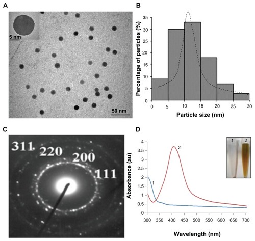 Figure 1 Characterization of silver nanoparticles. (A) Silver nanoparticles showing spherical, monodispersed particles (scale bar, 50 nm). The inset shows one single particle of silver (scale bar, 5 nm). (B) Particle size distribution showing preponderance of particles in the size range of 10–15 nm. (C) Electron diffraction pattern of nanoparticles showing various crystallographic planes. (D) Optical spectra of silver before (1) and after reduction (2). The inset shows the corresponding change in color.