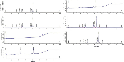 Figure 9. Comparison of wild type strains and SbMNF-overexpressing transformant in liquid cultures. (a) Wild type CNUCC 1353PR. (b) Transformant CNUCC 1353PR. (c) Wild type CNUCC C72. (d) Transformant CNUCC C72. (e) Wild type zzz816 (low-yielding strain). (f) Wild type zzz816 (high-yielding strain). (g) Transformant zzz816.