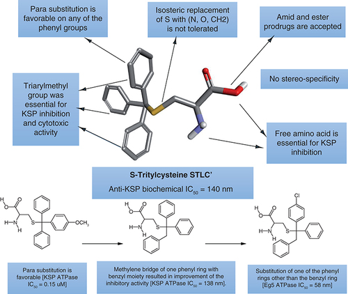 Figure 3. Structure–activity relationship of S-Tritylcysteine STLC as KSP inhibitor.