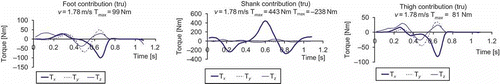 Figure 7. Dolphin stroke at v-flow = 1.78 m/s; contribution of foot, shank and thigh to the total hip torque. The shank part of the hip torque is dominant.