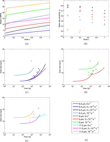 Figure 4. The SV-sinh model with w={24000 10.8} (set 2) fitted to (a) stress–strain data, (b) strain rate sensitivity-strain data, and grain size-time data in (c), (d) and (e).