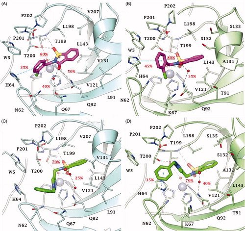 Figure 4. Predicted binding mode of compounds 2 and 46 into (A, C) CA IX and (B, D) CA XII active site. H-bonds and π-π stackings are represented as black and blue dashed lines, respectively. Dashed bonds occupancy over the MD simulation is indicated as percentage, among which underlined is the occupancy of the anchorage to the zinc-bound water. Water molecules are shown as red spheres. Amino acids are labelled with one letter symbols: A, Ala; H, His; K, Lys; L, Leu; N, Asn; P, Pro; Q, Gln; S, Ser; T, Thr; V, Val; W, Trp.