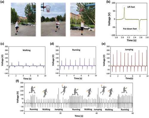 Figure 6. (a1-a3) Photos of athletes doing shooting sports. (b) The output signal of PM-TENG installed inside the shoe. (c-e) The PM-TENG voltage output signal under various motion posture. (f) Sensing signals of PM-TENG under basketball players in continuous motion