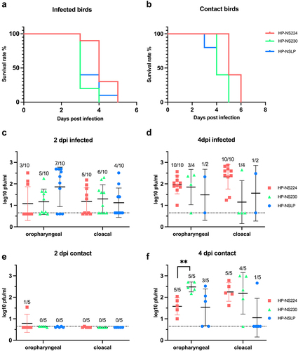 Figure 3. Effect of NS1 gene segment on survival and virus shedding after infection of turkeys with recombinant H7N1 viruses.