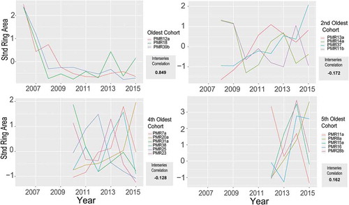 Figure 3. Standardized ring area spaghetti plots grouped by select cohorts along with the mean interseries correlation for each. Permutation results were only significant for the oldest cohort (p = 0.026).