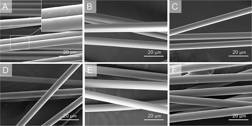Figure 2 Representative SEM photomicrographs of the fiberglass (×2000). (A) fiberglass with wetting agent (fiber surface wetting agents are shown in the frame). (B) fiberglass without wetting agent. (C) fiberglass with SiO2 nanofilms deposited via 50 ALD cycles. (D) fiberglass with SiO2 nanofilms deposited via 100 ALD cycles. (E) fiberglass with SiO2 nanofilms deposited via 200 ALD cycles. (F) fiberglass with SiO2 nanofilms deposited via 400 ALD cycles.