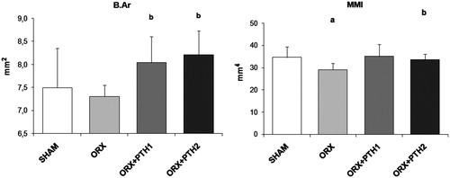 Figure 4. Cortical microarchitecture analysis: mean total crossectional bone area (B.Ar) and mean polar moment of inertia (MMI). Six-month-old male Wistar rats at the beginning of the study, distributed into four groups: Sham-operated rats (SHAM), castrated rats (orchidectomy: ORX), castrated rats treated for three months with PTH 10 mg/kg/d (ORX + PTH1) and PTH 50 mg/kg/d (ORX + PTH2), beginning three months after surgery. Data are expressed as mean + SD of 10 animals/group. Statistical significance p < 0.05: (a) versus SHAM; (b) versus ORX; (c) versus ORX + PTH1.