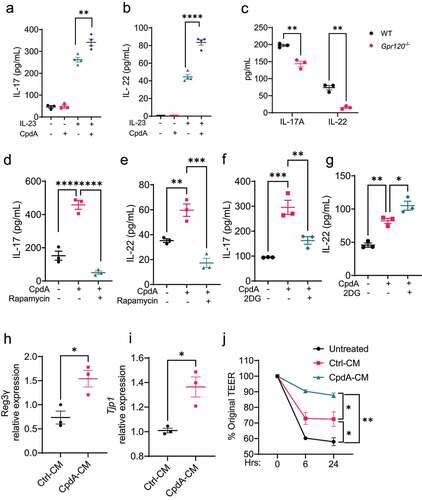 Figure 7. GPR120 regulates IL-17A and IL-22 production and IEC barrier function in neutrophils.