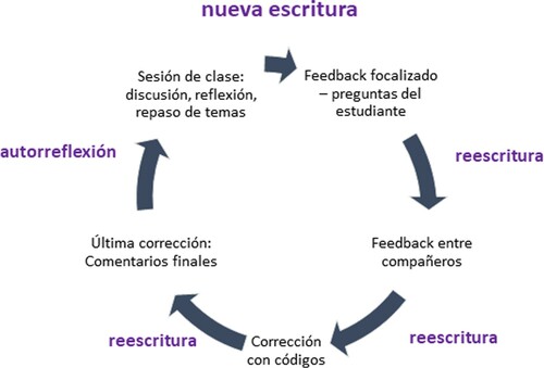 Figura 1. Cadena de feedback multimodal.