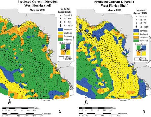 FIGURE 3. Maps depicting where bottom currents originated off the west coast of Florida. Panel (A) shows an upwelling pattern during October 2004, with most currents within the fishing boundary originating from the northwest. Panel (B) shows a downwelling pattern during March 2005, with most currents within the fishing boundary originating from the southeast.