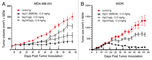 Figure 10 BIIB036 exhibits superior anti-tumor activity in vivo relative to versions of the antibody with reduced effector function. (A) MDA-MB-231 and (B) WiDr tumor xenograft model were used to compare the efficacy of different Fc versions of BIIB036. BIIB036 (hIgG1) exhibited superior efficacy compared with the other Fc versions of the antibody (hIgG1agly and hIgG4Pagly) when dosed weekly for a 6 week period. Control human Ig (dosed at 12.8 mg/kg in the WiDr study and 25.6 mg/kg in the MDA-MB-231 study) was included as a negative control.