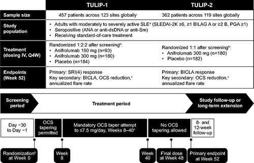 Figure 1. TULIP-1 and TULIP-2 study design. ACR: American College of Rheumatology; ANA: antinuclear antibodies; anti-dsDNA: anti-double-stranded DNA; anti-Sm: anti-Smith antibodies; BICLA: BILAG-based Composite Lupus Assessment; BILAG: British Isles Lupus Assessment Group; IFNGS: interferon gene signature; IV: intravenous; OCS: oral corticosteroid; PGA: Physician’s Global Assessment; Q4W: every 4 weeks; SLE: systemic lupus erythematosus; SLEDAI-2K: SLE Disease Activity Index 2000; SRI(4): SLE Responder Index. aEligible patients fulfilled ACR classification for SLE; bPatients were stratified by IFNGS status, SLEDAI-2K score, and OCS dosage; cFor patients with baseline OCS of prednisone ≥10 mg/day or equivalent.