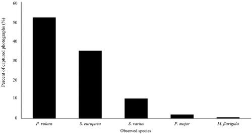Figure 3. Percentage of photographs of five species (out of the total photos, N = 146) in the artificial nests captured by the installed camera traps.