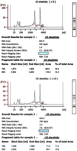 Fig. 1. Assessment of RNA Integrity in H. fulva at low temperature.