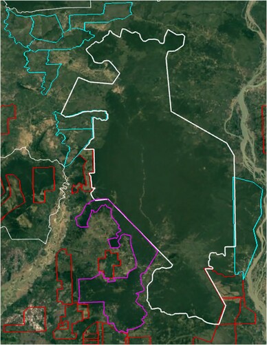 Figure 5. The Prey Lang Wildlife Sanctuary 2021. Protected Area in white, Tumring REDD+ in purple, and the logging syndicate of Think Biotech, Thy Nga, PNT, and HengFu Sugar ELCs in blue.