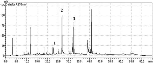 Figure 1. HPLC chromatogram of HemoHIM. Peak number indicated: 1: chlorogenic acid, 2: paeoniflorin, 3: nodakenin.