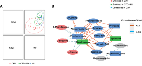 Figure 4 Integration of respiratory microbiomes and metabolomes. (A) Integration of microbiome and metabolome datasets using DIABLO software. DIABLO sample plot demonstrating the overall correlation between microbiome and metabolome data. (B) DIABLO sample plot demonstrating the microbiome-metabolome network. A positive correlation between nodes is indicated by Orange connecting lines, and a negative correlation is indicated by blue. Species and metabolites enriched in CAP and CTD-ILD are denoted by red and green, respectively. Microbiome data filtered for genomes with a minimum of 0.05% relative abundance in ≥2 samples. Microbiome data are centered log-ratio-transformed relative abundance. Metabolomics data are log-transformed auto-scaled values.