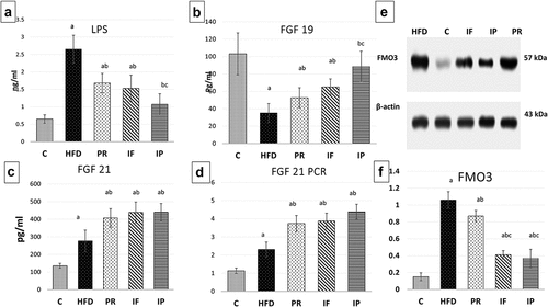 Figure 2. Effect of probiotics and intermittent fasting on serum LPS (A), FGF19 (B), FGF 21 (C), FGF21 gene expression (D) and western blotting of FMO3 in liver (E and F) in different groups.C, control group; HFD, high fat diet group; PR, probiotic group; IF, intermittent fasting group; IP, combined intermittent fasting and probiotics group. Parameters described as mean ±SD, Probability significance <0.05. Test used: One way ANOVA followed by Tukey post hoc test. asignificance with control group, bsignificance with HFD group, cSignificance with PR group.