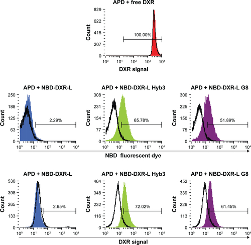 Figure S2 Immunoliposomes bind to cognate peptide.Notes: DXR-L formulations were incubated with APD cells. Data are shown as histograms for NBD fluorescence and DXR signal on APD cells pulsed with M1 peptide, in comparison with signal from NBD and DXR on APD cells without M1 peptide. Percentage fluorescence of positive cells is given as measured by flow cytometry. Empty histograms represent APD cells with M1 peptide, red filled represents free DXR used as positive control, blue-filled histograms represent NBD-labeled DXR-Ls, green-filled histograms represent NBD-labeled DXR-L scFv Hyb3, and purple-filled represent NBD-labeled DXR-L scFv G8.Abbreviations: DXR, doxorubicin; DXR-L, DXR-loaded liposome.