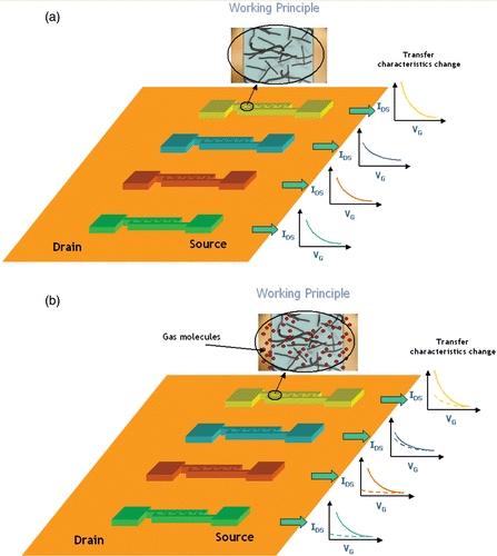 Figure 1. (a) Four CNTFETs fabricated with four different metal interdigited electrodes (each colour corresponds to a different metal): in the inset, the carbon nanotubes chains connecting the two electrodes. On the right hand side, the transfer characteristic (source/drain current as a function of the gate voltage) of each transistor in air. (b) Change of the transfer characteristic of the four transistors as a consequence of the exposition to a particular gas (in the inset, the gas molecules that interact with the transistor): the four transfer characteristics change in a different way as a consequence of the various metal contacts (dashed line). Each gas gives a unique ‘signature’ in terms of IDS variation over the four transistors.