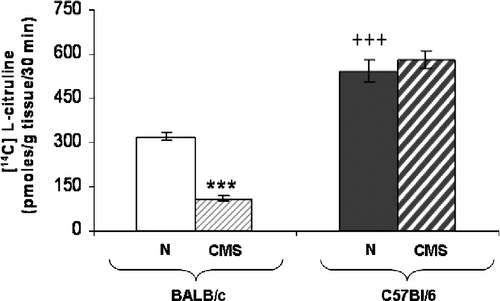 Figure 3 Hippocampal NOS activity. Total NOS activity was determined in homogenates of hippocampus from BALB/c (clear bars) and C57BL/6 (dark bars) in control (N) (plain bars) and CMS (crossed bars) mice. Each bar represents the mean ± SEM for eight measurements; each measurement was on the hippocampus (right + left) from a different mouse, n = 8 mice per group. ***p < 0.0001 versus the corresponding control. +++p < 0.0001 respect to control BALB/c mice.