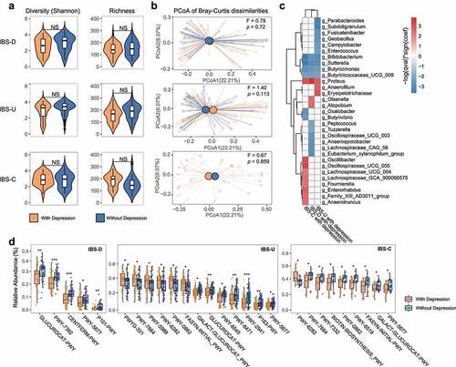 Figure 3. Bacterial and functional alterations in gut microbiota of IBS patients with depression. (a) Diversity (Shannon Index) and richness of gut microbiota of IBS patients with depression or without depression in different subtypes, NS means not significant. (b) Principal Coordinates Analysis of gut microbiota composition of IBS patients with depression corresponding IBS patients without depression in different subtypes by Bray-Curtis dissimilarities, the difference among IBS subtypes was assessed by PERMANOVA test. (c) The association between gut microbiota and IBS patients with depression in different subtypes. The association was assessed by the multivariate analysis by linear models (MaAsLin; p < .05, FDR<0.1). (d) MetaCyc pathway differences between IBS patients with depression and those without depression, * p < .05, ** p < .01, *** p < .001, **** p < .0001. In each subtype, an equal number of IBS patients without depression were selected using the established matching algorithm.