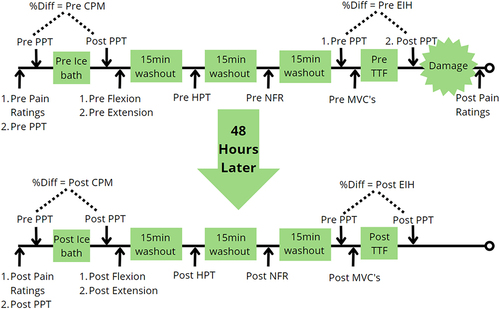 Figure 1 Schematic timeline of experimental visits 2 and 3. %diff – percent difference between pre and post pressure pain thresholds. CPM – Conditioned pain modulation. EIH – Exercise induced hypoalgesia. PPT – Pressure pain thresholds. HPT – Heat pain thresholds. NFR – Nociceptive Flexion Reflex. MVC – Maximal voluntary contraction.