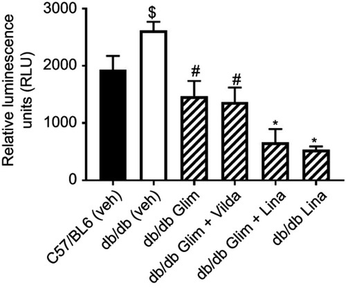 Figure 3 Measurement of superoxide generated in mouse aortae using L-012 enhanced chemiluminescence from the six groups. Data are expressed as mean ± SEM.