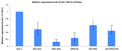 Figure 2. MiR-135a is downregulated in malignant gastric cancer cell lines. Real-time quantification of miR-135a using stem-loop RT-PCR in a variety of malignant gastric cancer cell lines and the nonmalignant gastric mucosa cell line GES-1. Expression of miR-135a was normalized to U6 snRNA and expressed relative to GES-1 cells. Values are mean ± SEM of triplicate experiments; **p < 0.01, *p < 0.05.