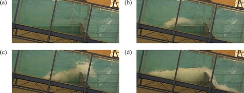 Figure 5 Snapshots of the leap pattern