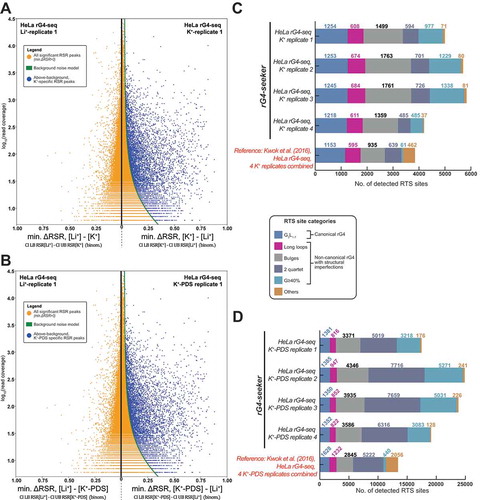 Figure 4. Novel rG4-seq analysis workflow enables reliable, replicate-free RTS site detection. (A,B) RSR peaks identified ab initio by applying the minimum ΔRSR metric scheme, sequence-based filtering scheme and fragmentation-associated noise model. (A) RSR peaks detected from replicate 1 of HeLa rG4-seq dataset (pairwise comparison between K+/Li+ conditions). (B) RSR peaks detected from replicate 1 of HeLa rG4-seq dataset (pairwise comparison between K+-PDS/Li+ condition). (C,D) Summary of RTS sites detected each replicate rG4-seq dataset, categorized by associated rG4 structural motifs for each site. Adjacent, consecutive RSR peaks were merged and considered to indicate a single RTS site. RTS site detection results (combined analysis of four replicates) from Kwok et al. [Citation9] were included as a reference. (C) RTS sites detected from pairwise comparison between datasets of K+/Li+ conditions (D) RTS sites detected from pairwise comparison between datasets of K+-PDS/Li+ conditions.