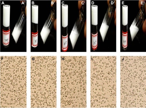 Figure 3 Appearances of TG-5FU-ME.