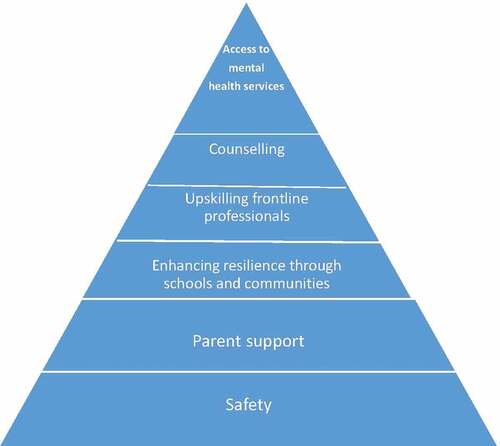 Figure 1. Child mental health service improvement service plans framework.