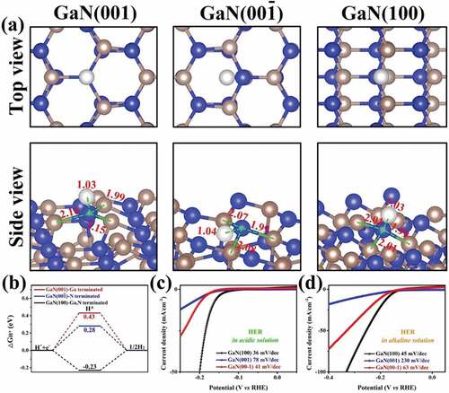 Figure 16. Comparison of three different facets of GaN – GaN(001), GaN(00–1) and GaN(100) (a) Adsorption sites on different materials (b) H* adsorption free energy (c) HER activity in 0.5 M H2SO4 (d) HER activity in 1.0 MKOH (Reproduced with permission from [Citation244]).