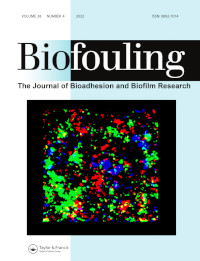 Cover image for Biofouling, Volume 38, Issue 4, 2022