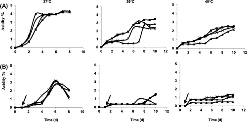 Fig. 6. Simultaneous coconut vinegar production.Note: Acetic acid production was monitored in coconut water, the Brix value of which had been adjusted to 10% (w/v) by the addition of glucose with SL13E-2 (diamonds), SL13E-3 (squares), SL13E-4 (triangles), and SKU1108 (crosses) at 37 °C, 39 °C, and 40 °C. Dry yeast and AAB were added simultaneously (A) or sequentially (B). Arrows show points of addition of AAB in sequential addition.