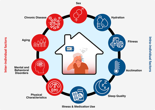 Figure 2. Overview of intra- and inter-individual factors that can modulate the body’s physiological capacity to dissipate during a heat stress such as during a daylong exposure to an overheated home in an extreme heat event.