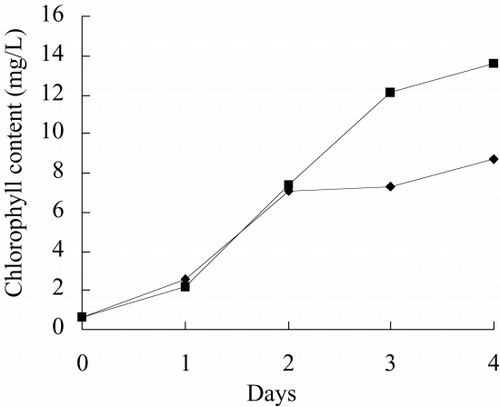 Figure 8. Chlorophyll content of immobilized Spirulina subsalsa with alginate for removing TPT.