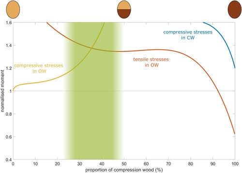 Figure 7. Moment corresponding to the governing stress states. Compressive governing stress state in OW (yellow), tensile governing stress state in OW (orange), compressive governing stress state in CW (blue) occur depending on the proportion of compression wood in the branch. The shaded area shows relative amount of CW found in softwood branches.